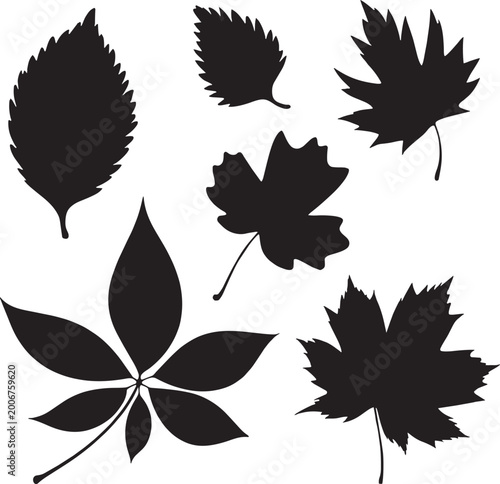 Black Leaf Silhouettes Vector Set Maple Oak Autumn Nature Foliage Illustration