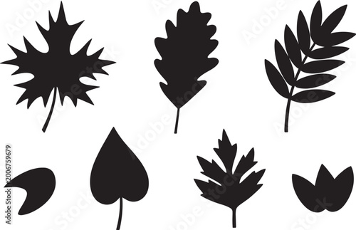 Leaf silhouettes collection black autumn leaves and botanical shapes set