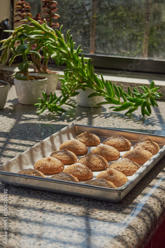 Homemade sugar cookies baking tray in kitchen sunlight