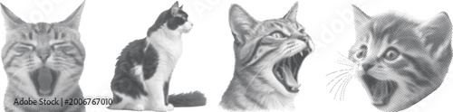 Fotografie Vintage halftone cat collage with yawning kitten, sitting feline and roaring pet portraits in dotted pop art texture