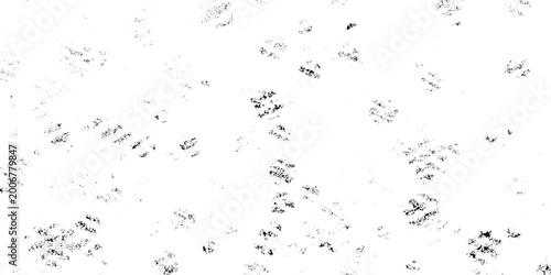 Fotografía Subtle scattered black smudges and speckled grunge marks on white background, light distress texture, random faint stains, minimal monochrome design