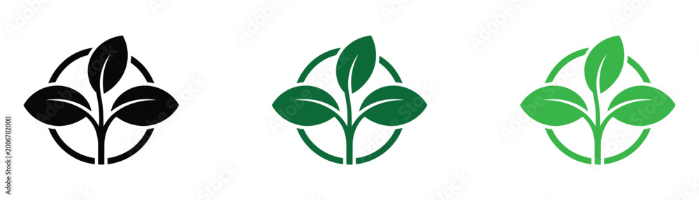 Obraz premium three stages of green leaf growth isolated on white background vector illustration