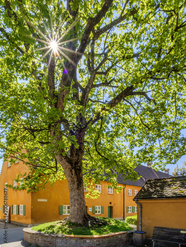 Die Fuggerei ist die älteste bestehende Sozialsiedlungen der Welt, gestiftet von Jakob Fugger, Augsburg, Schwaben, Bayern, Deutschland
