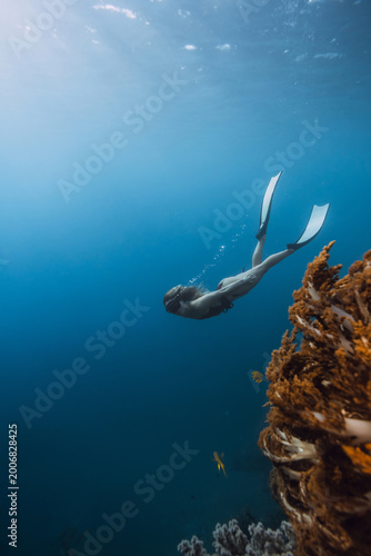 Bild auf Leinwand Woman freediver dives underwater near coral reef