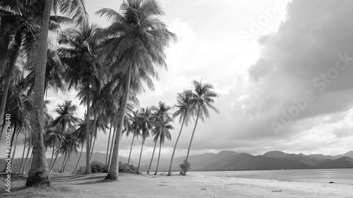 Black and white photo of palm tree lined beach with mountains and clouds