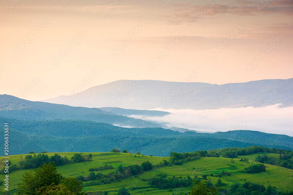 Fototapeta premium foggy carpathian countryside scenery at dawn in summer. view of mountainous landscape with rural fields on rolling hills. fog in the valley. clouds above the mountain. remote outdoors background