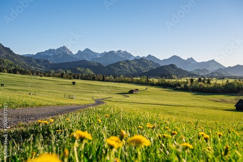 Obraz na plátně Panoramic view of a winding path through green spring meadows in Schwangau with