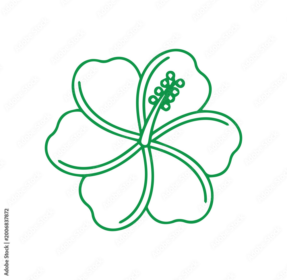 Fototapeta premium A green line drawing of a hibiscus flower isolated on white background