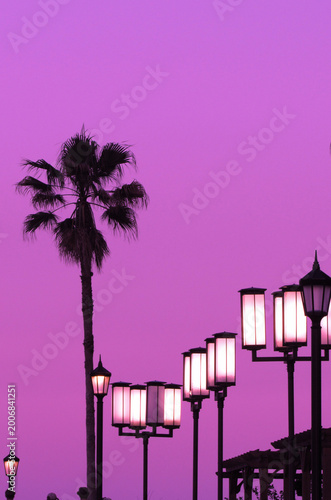 silhouette of a palm tree at sunset