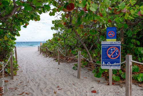 Beach entrance path with information signs and tropical vegetation. Sand pathway leading to the ocean with safety signs and green sea grape trees on Miami Beach.