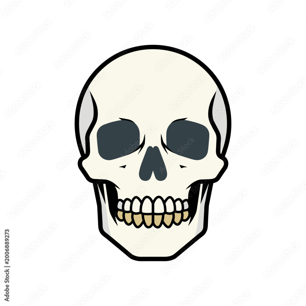 Obraz premium Human skull anatomical vector graphic illustration with skeleton illustration creature
