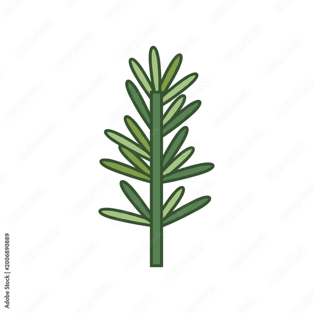 Fototapeta premium Fresh green rosemary sprig herb vector illustration with rosemary aromatic seasoning