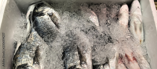 Konstfotografi Fresh whole fish on ice in supermarket seafood counter