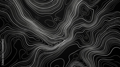 Black and White Abstract Contour Line Art Design