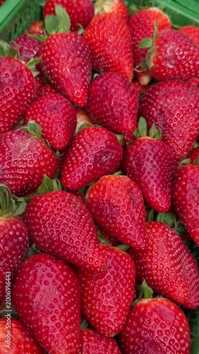 Ripe red strawberries green box closeup, packed in plastic crate at bustling fruit market, glossy skin and visible seeds, vibrant