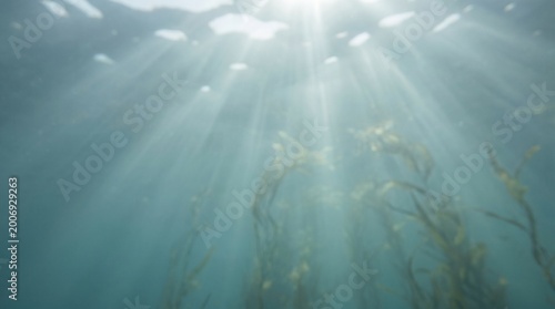 dramatic underwater sunlight rays beaming through ocean waves isolated on transparent background