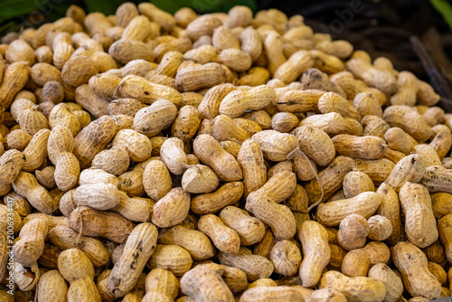 Φωτογραφία The peanut, also known as the groundnut, goober, goober pea, pindar or monkey nut, is a legume crop grown mainly for its edible seeds, contained in underground pods