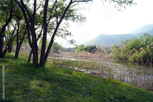 It is a view of a pond in April, where bushes and mountain trees grow in the warm air.