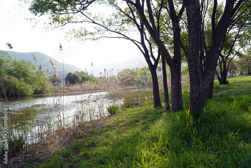It is a view of a pond in April, where bushes and mountain trees grow in the warm air.