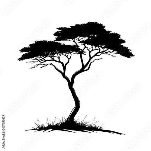 tree silhouette isolated on white