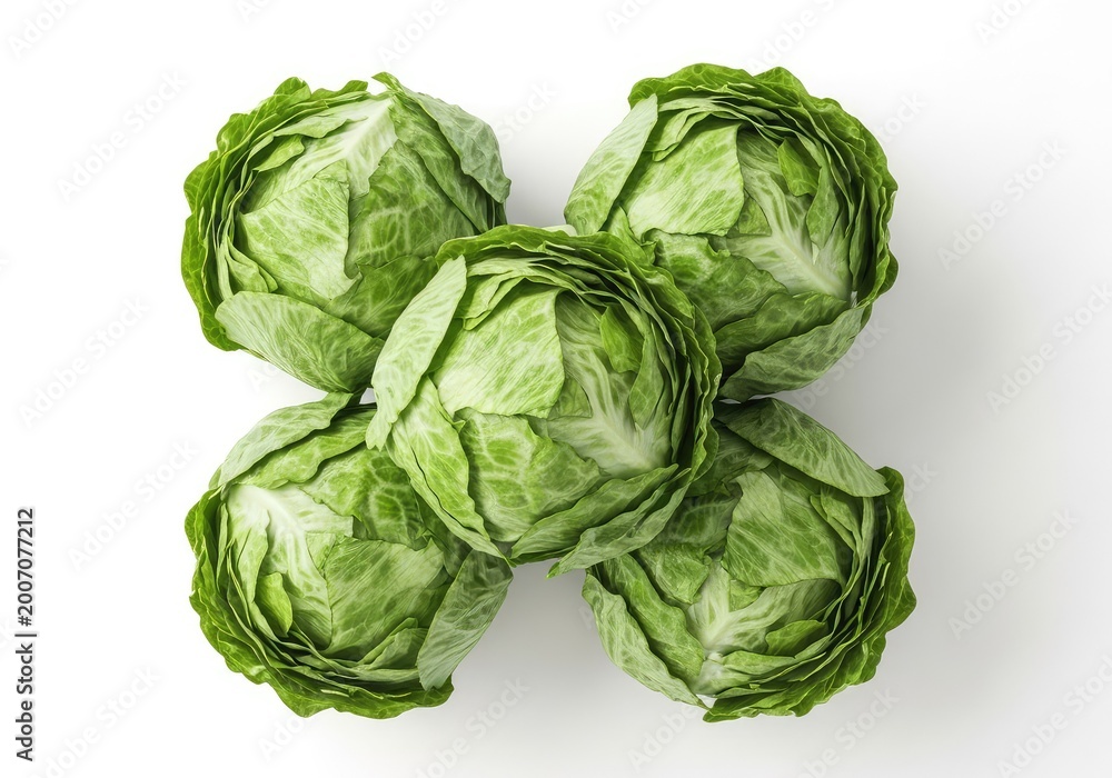 Fototapeta premium Overhead shot of fresh iceberg lettuce heads arranged tightly on a white background, highlighting crisp green leaves and crunchy texture, natural, organic, agriculture