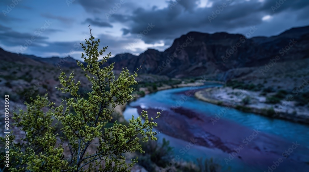 Naklejka premium dramatic desert river winding through rugged canyon landscape under stormy sky
