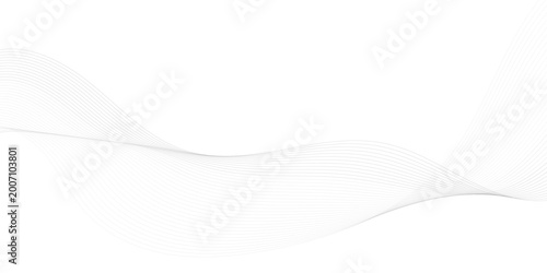Fotografi Gray wavy lines on white background 1
