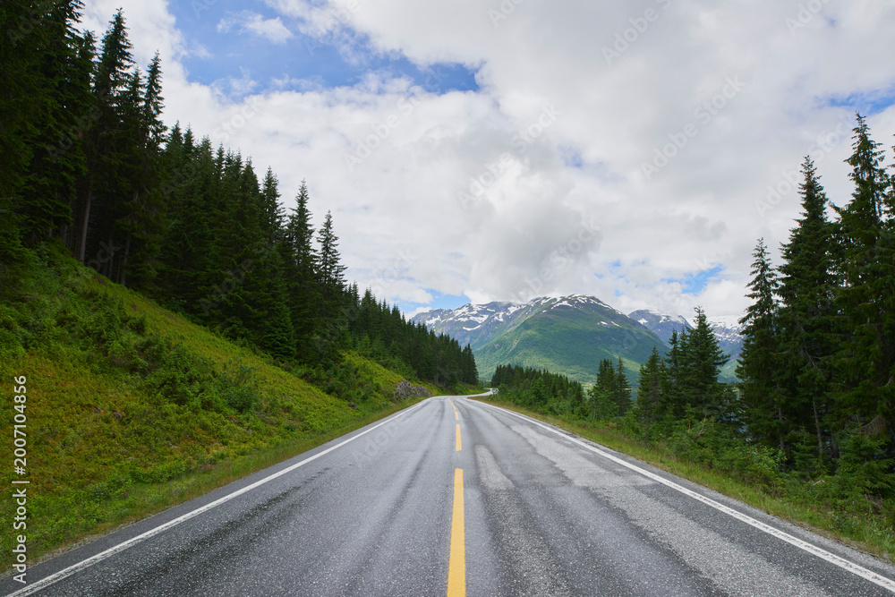 Fototapeta premium Landscape, forest and mountain with road in nature for travel, adventure and path for holiday. Clouds, woods and outdoor journey with scenic route, tourist highway and green foliage for vacation trip