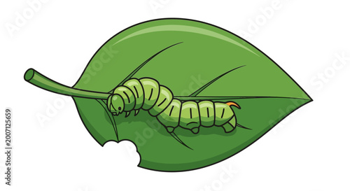 Tableau sur toile Green Caterpillar Eating a Leaf