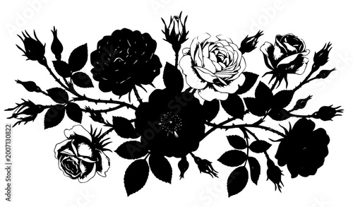 Vintage botanical rose illustration set with blooming and bud stages gouache hand drawn vector flowers isolated on white background