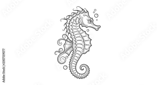 Photos Detailed seahorse illustration with bubbles isolated on white background