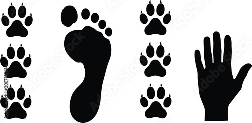 Billede på lærred Black Silhouette Animal Paw Print Human Footprint And Hand Set Vector Illustrati