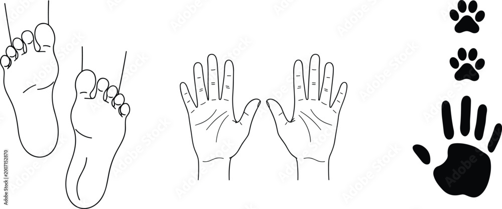 Fototapeta premium Human Feet Hands And Animal Paw Print Set Vector Illustration Isolated White Background Line Art Silhouette Body Parts Design Collection