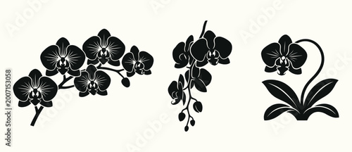 Foto Orchid Flower Silhouette Clipart - Black Floral Vector Icons