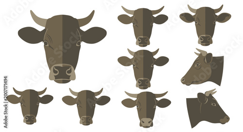 Foto Brown Cow Heads and Profiles.