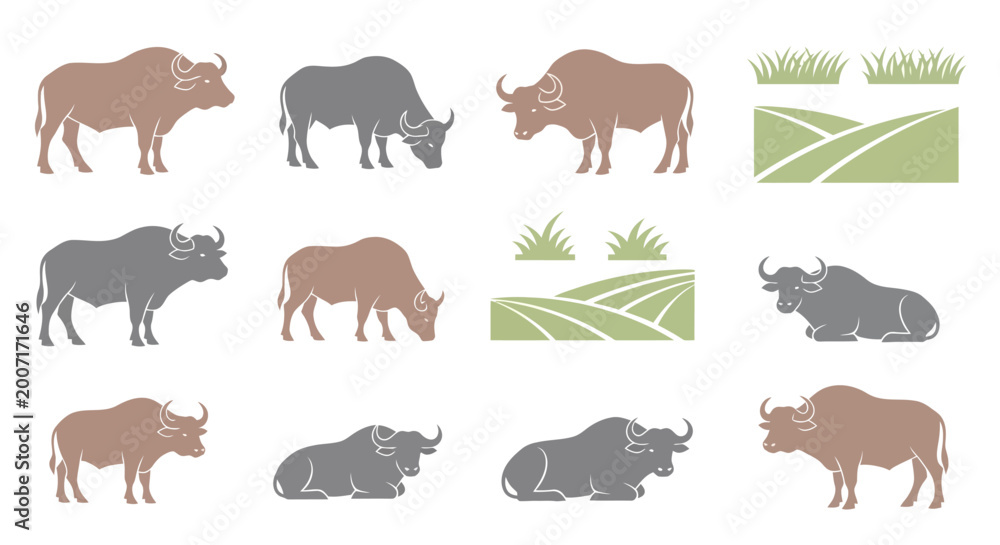 Fototapeta premium Rhinoceros Animals Wildlife Nature.