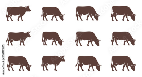 Bild auf Leinwand Brown cows in various walking positions.