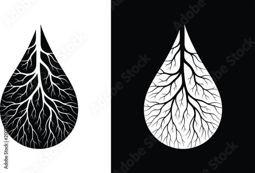 Obraz na płótnie Teardrop leaf vein icons black and white
