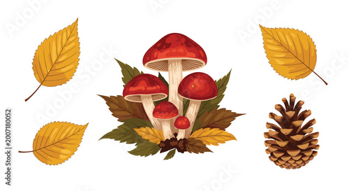 Autumn forest composition with red capped mushrooms golden yellow birch leaves and a textured pine cone isolated on white background.