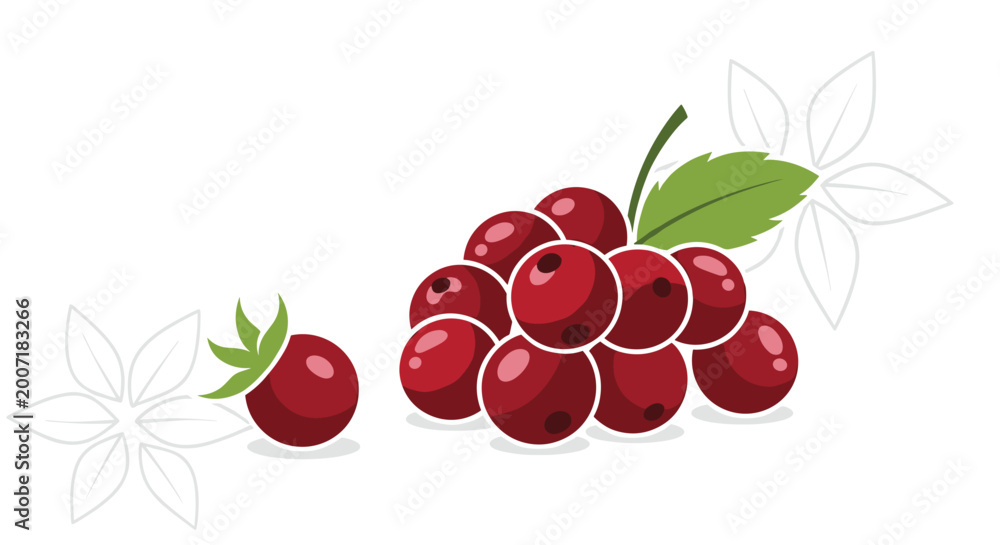 Obraz premium Ripe red cranberries clustered on a small branch with a green leaf and stylized white flower outlines in the background.