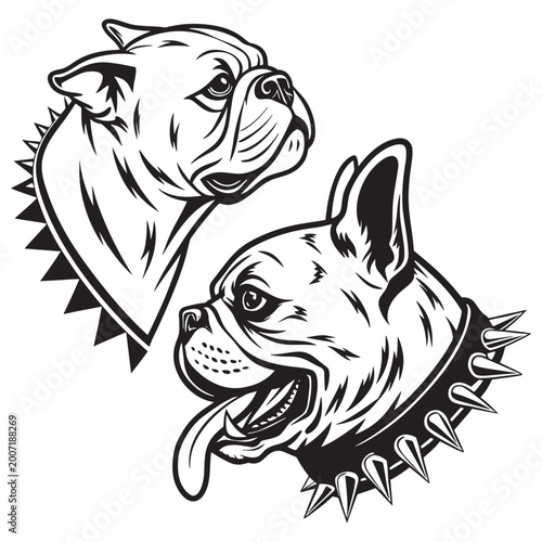 Photos Two aggressive dog heads with spiked collars in black and white illustration