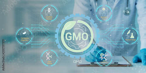 Foto Scientist examining genetically modified organisms GMO technology with futuristi