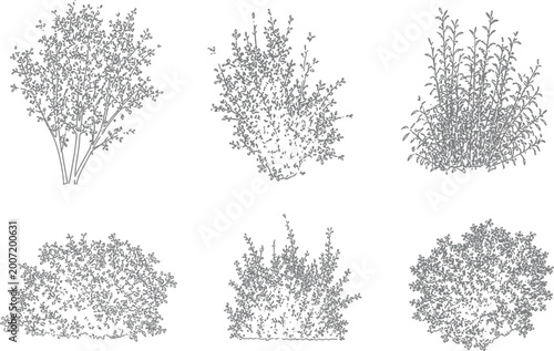 Architectural vector set shrubs bushes trees flowers in elevation view for landscape design