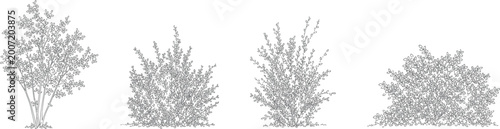 Architectural vector set shrubs bushes trees flowers in elevation view for landscape design