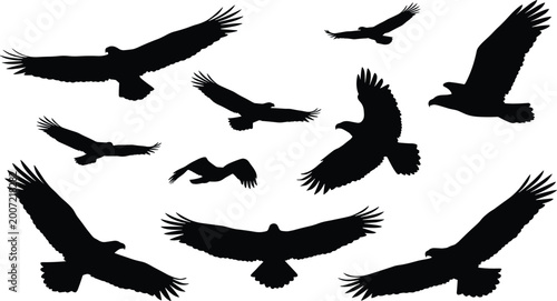 Bild auf Leinwand Birds in Flight Silhouette Illustration Set with Hawks, Eagles, and Wings for Na