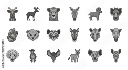 Photography Collection of various wild animal illustrations in a monochrome style