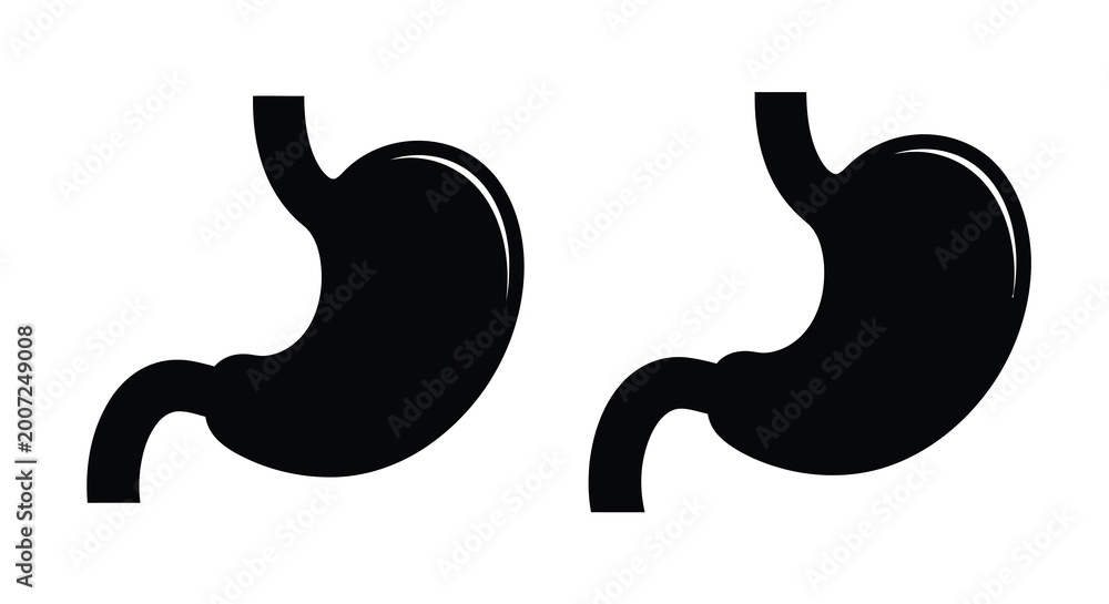 Fototapeta premium Human stomach silhouette on a white background