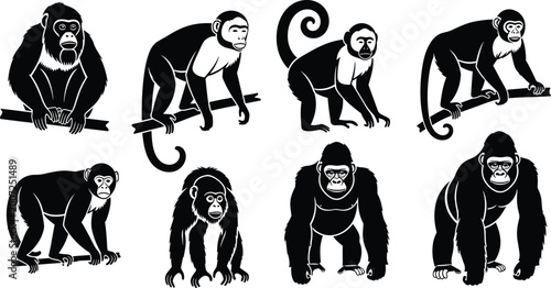 Φωτογραφία Stylized primate silhouettes illustration, monkeys and gorillas art, diverse pos
