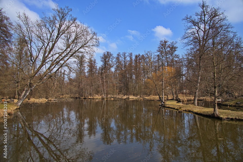 Fototapeta premium Pond in public park in Blatna, South Bohemian Region, Czech republic, Europe 