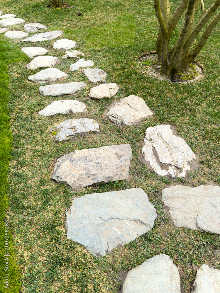 Fototapeta premium Natural stone stepping path in grassy garden